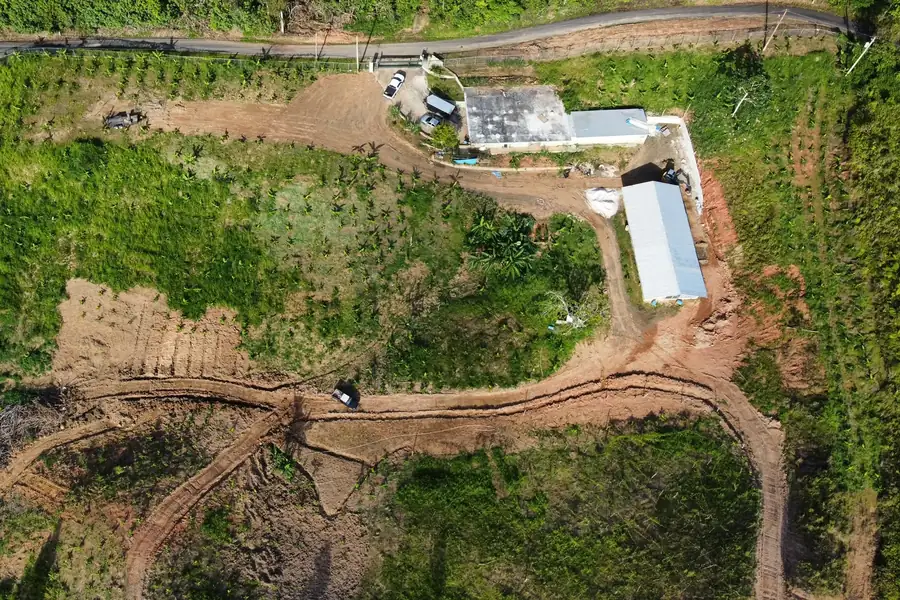 Vista aérea de la finca: el rancho de las gallinas con techo de zinc, las siembras en hilera y los caminos de tierra roja